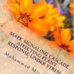 ...ebook: MAPK