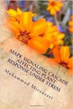 ...ebook: MAPK